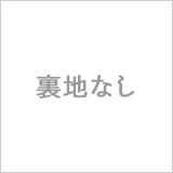 裏地なし